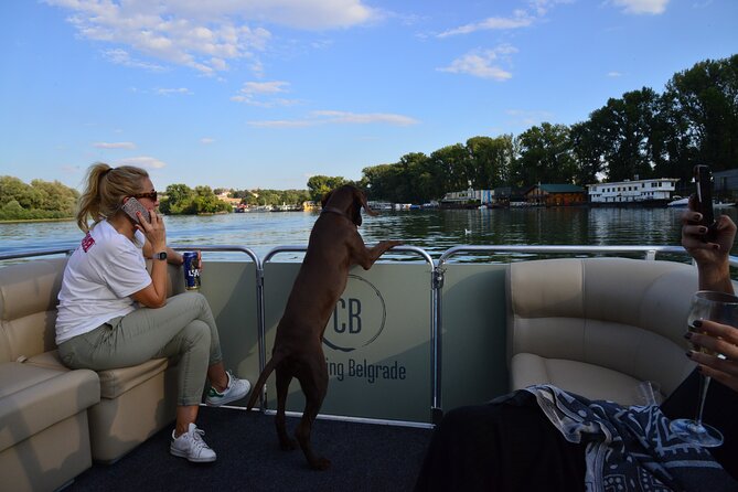2 hours / Sightseeing Boat cruise Drinks Included - Ada Bridge and Belgrade’s modern side