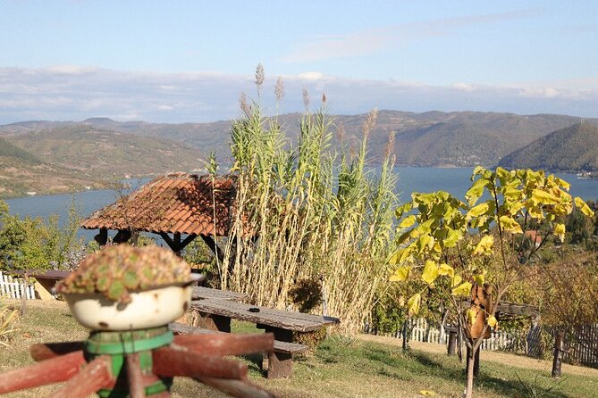 Along the Danube: Golubac Fortress & Iron Gate Gorge day trip from Belgrade - Lepenski Vir and Serbia before the castles