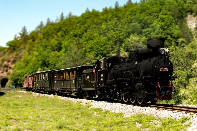 Belgrade: Mokra Gora, Šargan 8, Drina river house Full Day Tour - Who will enjoy this tour most