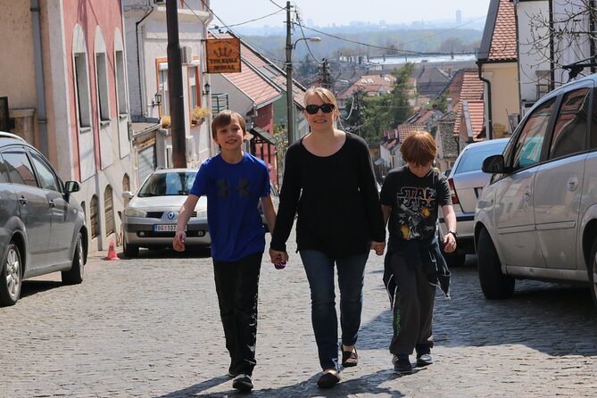 Belgrade Private City Tour – Metropolis Between East and West - Gardoš and the Millennium Tower views