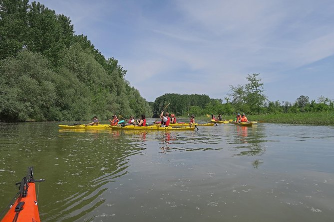 Belgrade War Island Kayak Tour - Veliki Galijaš and the island’s marshes