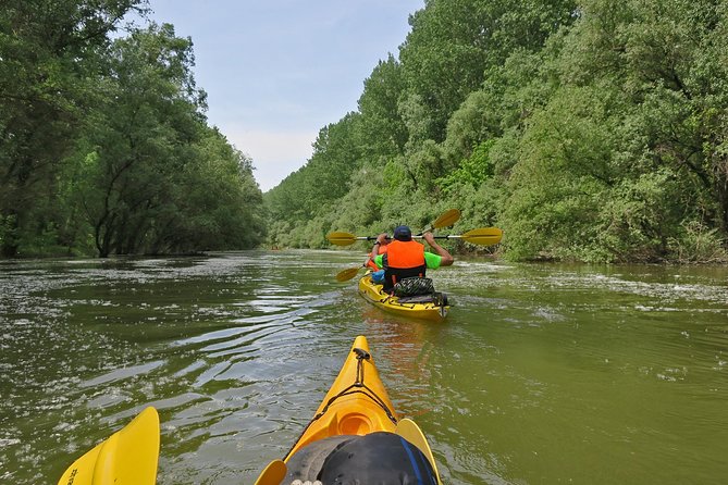 Belgrade War Island Kayak Tour - What the private format is worth at $42.33