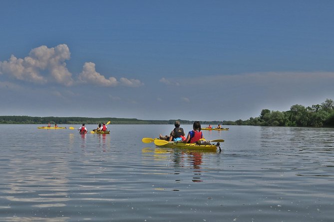 Belgrade War Island Kayak Tour - The guides make a real difference