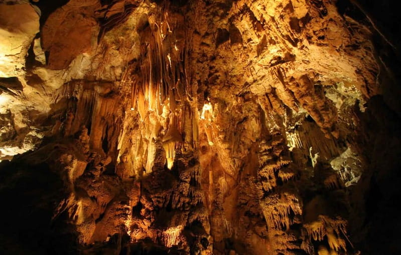 From Belgrade: Manasija Monastery and Resava Cave Tour - The ride from Belgrade to Manasija