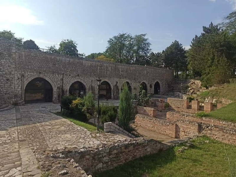 From Belgrade: Nis city full day tour - Key points to know before booking