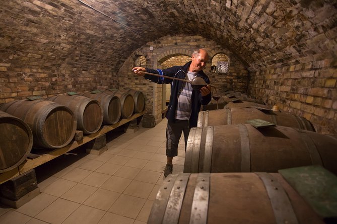 From Belgrade: Novi Sad and Sremski Karlovci Tour - Sremski Karlovci and the story of Bermet