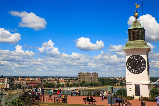 From Belgrade: Novi Sad and Sremski Karlovci Tour - Transport, pacing, and guide quality