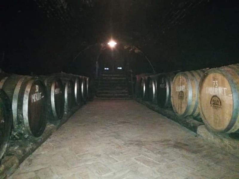 From Belgrade: Novi Sad & Fruska gora & winery and monastery - Who should book this excursion