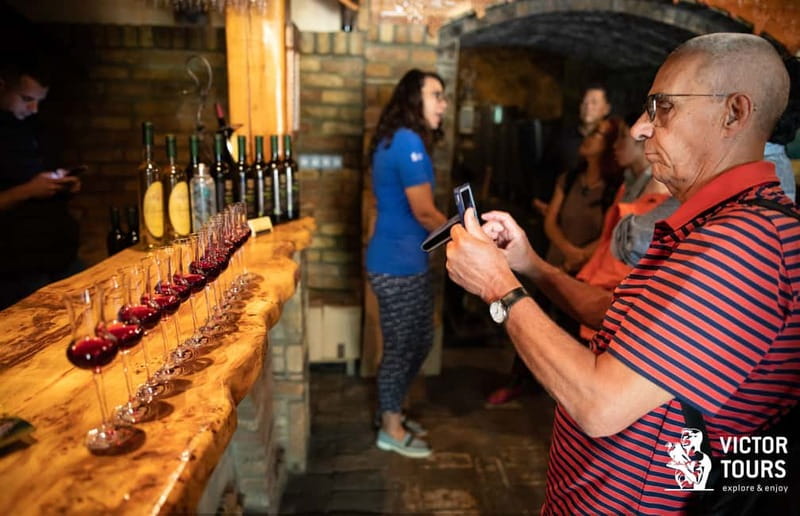 From Belgrade: Novi Sad & Sremski Karlovci Full-Day Tour - Petrovaradin Fortress and the best quick view of Novi Sad