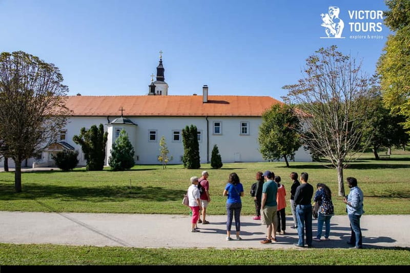 From Belgrade: Novi Sad & Sremski Karlovci Full-Day Tour - Price, comfort, and what you receive