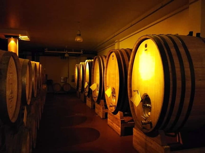 From Belgrade: Subotica and Palic Full-Day Trip with winery - Why this northern Serbia day trip is worth your time
