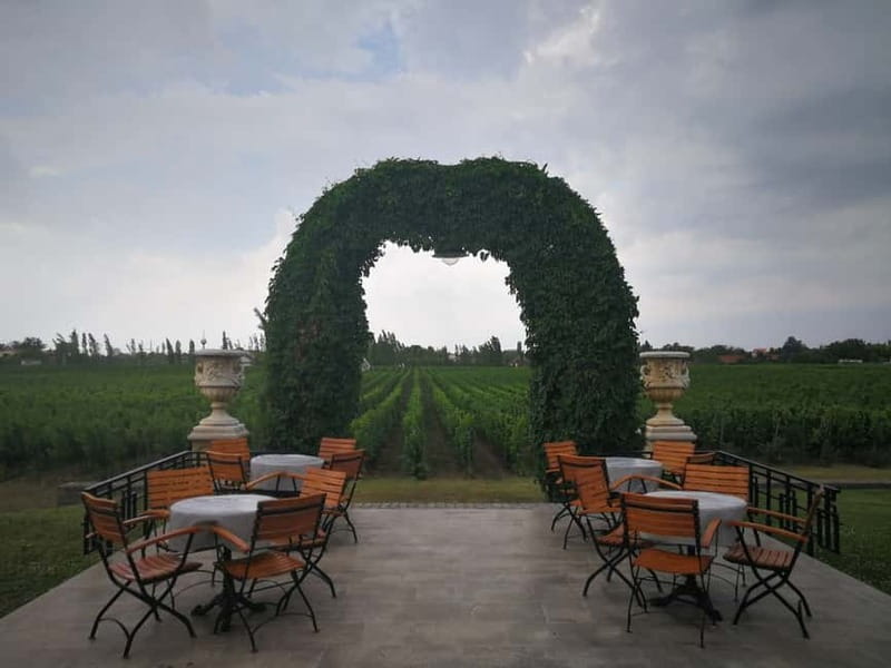 From Belgrade: Subotica and Palic Full-Day Trip with winery - Wine at Zvonko Bogdan Winery