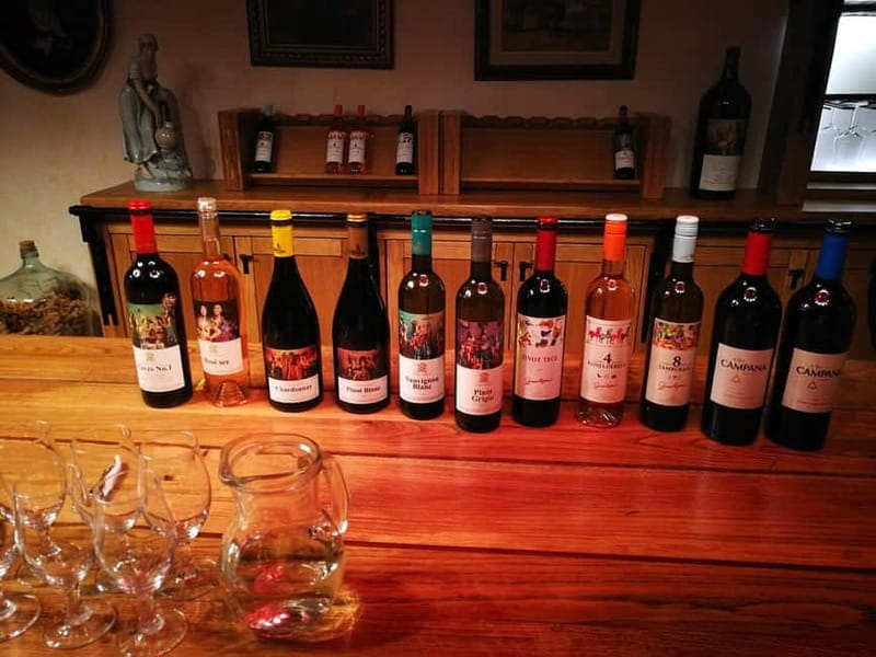 From Belgrade: Subotica and Palic Full-Day Trip with winery - Who should book this experience?