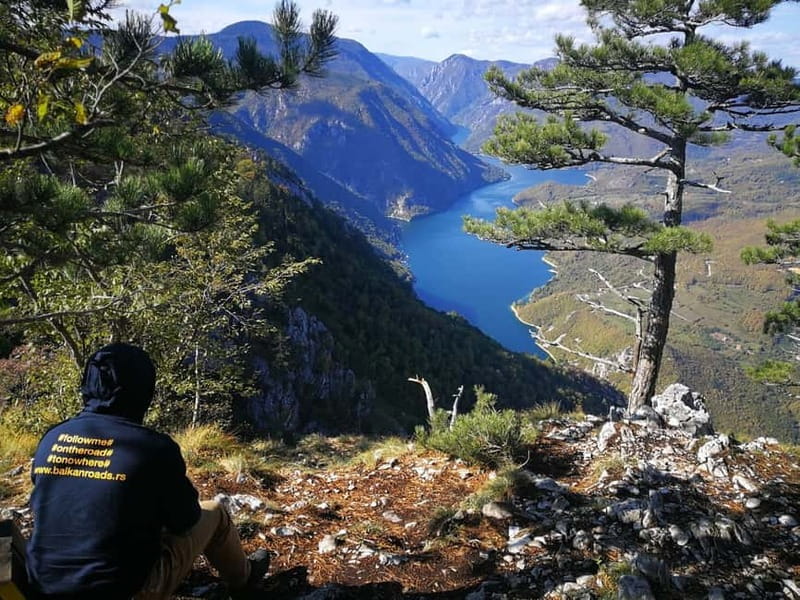 From Belgrade: Tara NP & Drina river & House on the Drina - Key points at a glance