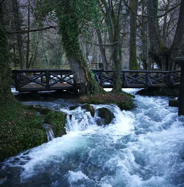 From Belgrade: Tara NP & Drina river & House on the Drina - What the guide adds to the experience