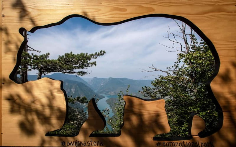 From Zlatibor/Užice: Mokra Gora & Tara National Park - Pančić’s spruce and Tara’s natural character