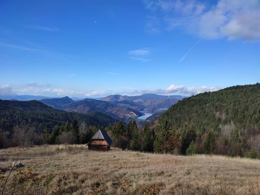 From Zlatibor/Užice: Tara National Park Adventure - Key points to know before you book