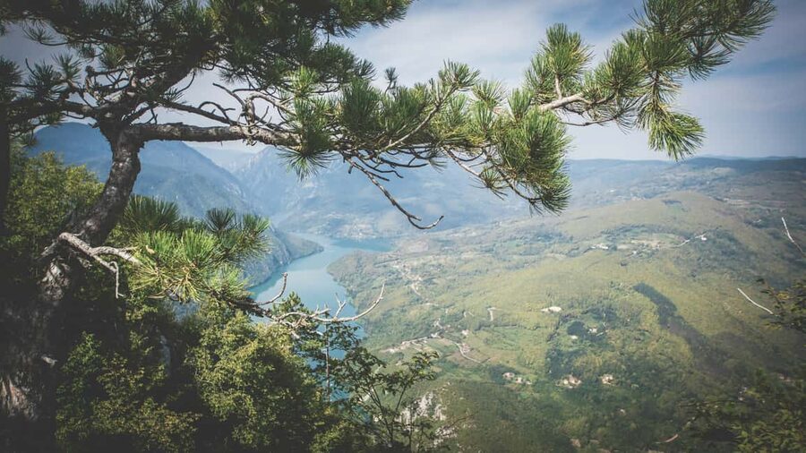 From Zlatibor/Užice: Tara National Park Adventure - Why Tara works so well as a day trip
