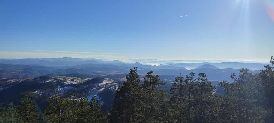 From Zlatibor/Užice: Tara National Park Adventure - Hiking Janjač Peak at 1,473 meters