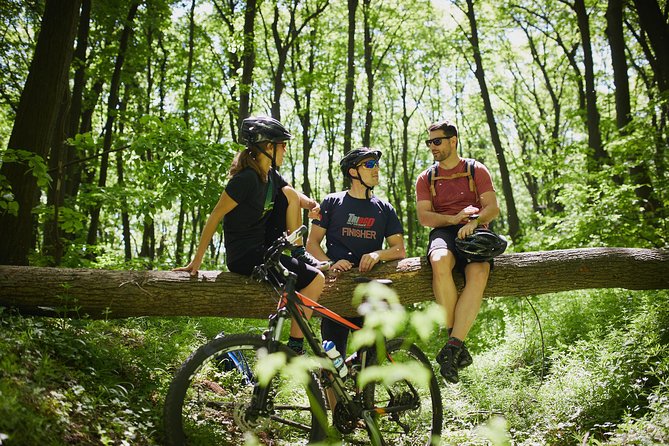 Fruška Gora Bike Tour - Two hours through Fruška Gora National Park