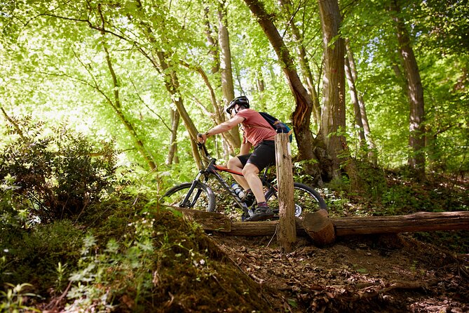 Fruška Gora Bike Tour - Bikes, guides, and the private-tour advantage
