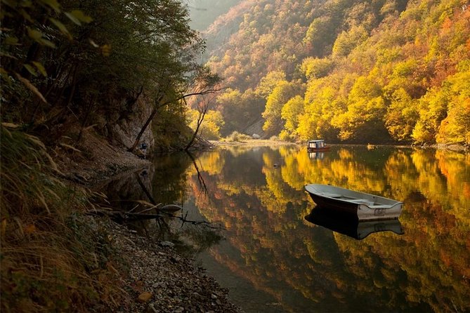 Full Day Trip from Belgrade: The Drina River House And Tara Park Tour - Lunch, entrance fees, and what to pack