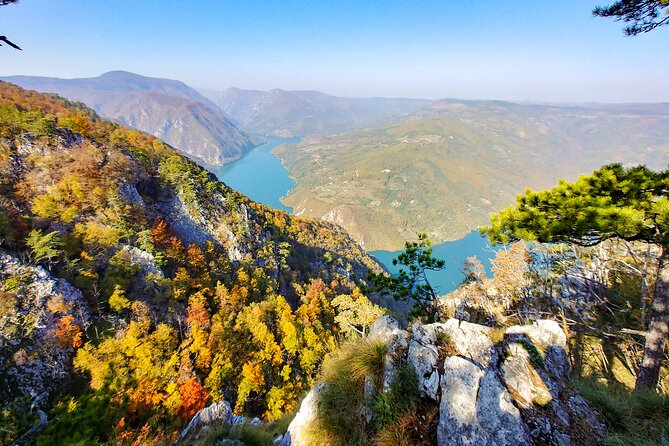 Full Day Trip from Belgrade: The Drina River House And Tara Park Tour - The 8:00 am start and long road time