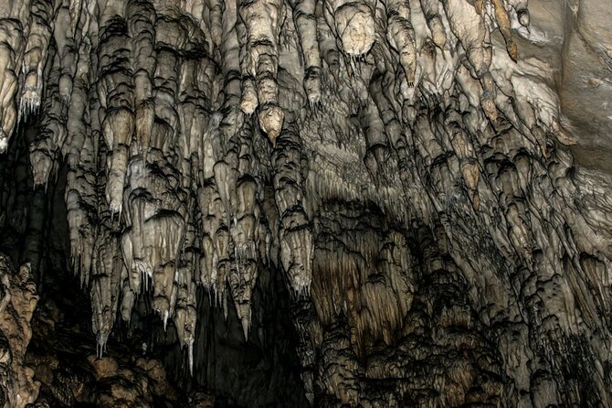 Full Day Trip from Belgrade: Uvac Nature Reserve Tour - Food, comfort, and what to pack