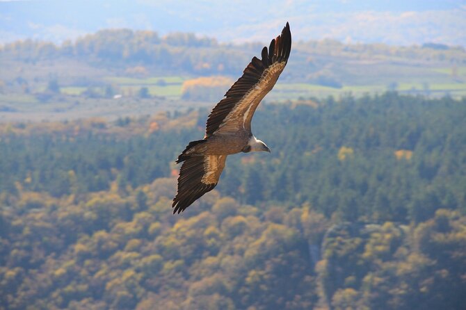 Full Day Trip from Belgrade: Uvac Nature Reserve Tour - Two useful breaks on the long road