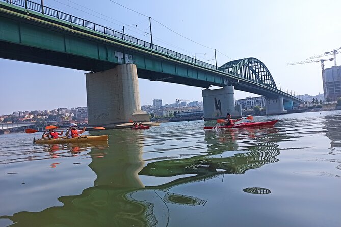 Kayaking under Belgrade bridges - Seeing Belgrade from Zemun to Kalemegdan