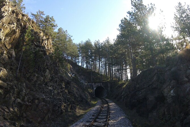 Mokra Gora and Tara National Park Full-Day Private Tour - Why this private route works