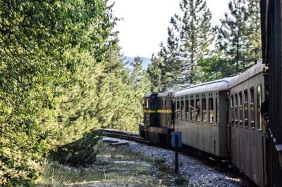Mokra Gora and Tara National Park Full-Day Private Tour