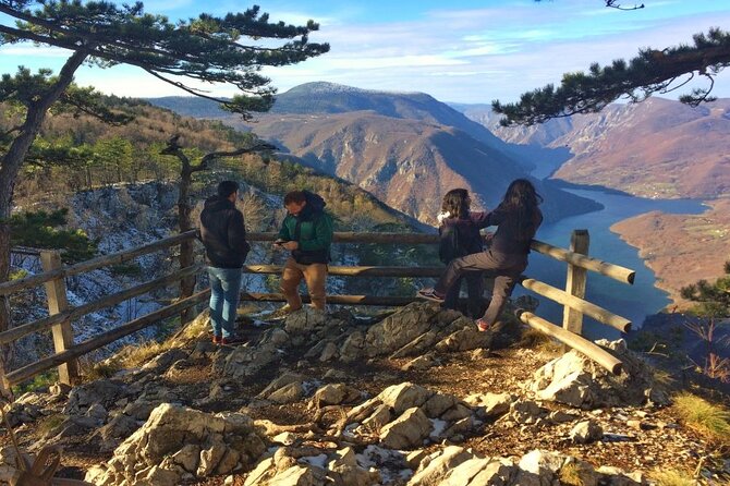 Mokra Gora and Tara National Park Full-Day Private Tour - What the $241.86 group price really means