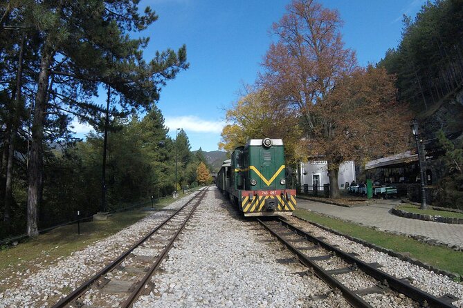 Mokra Gora and Tara National Park Full-Day Private Tour - Practical details before you book