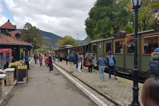 Mokra Gora toure with a Šargan 8 train ride - Why this western Serbia day trip works