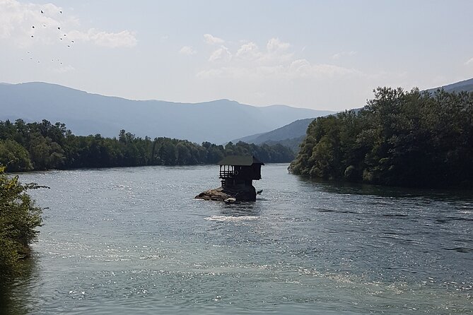 Mokra Gora toure with a Šargan 8 train ride - Tara National Park and the Panciceva omorika