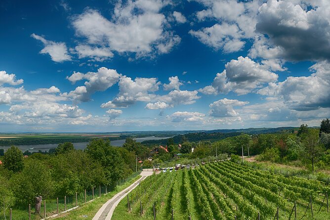Natural wine tasting with great views - What you taste, and how much