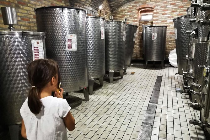Novi Sad Saturday Full day trip - What Nikola Lucic adds to the day