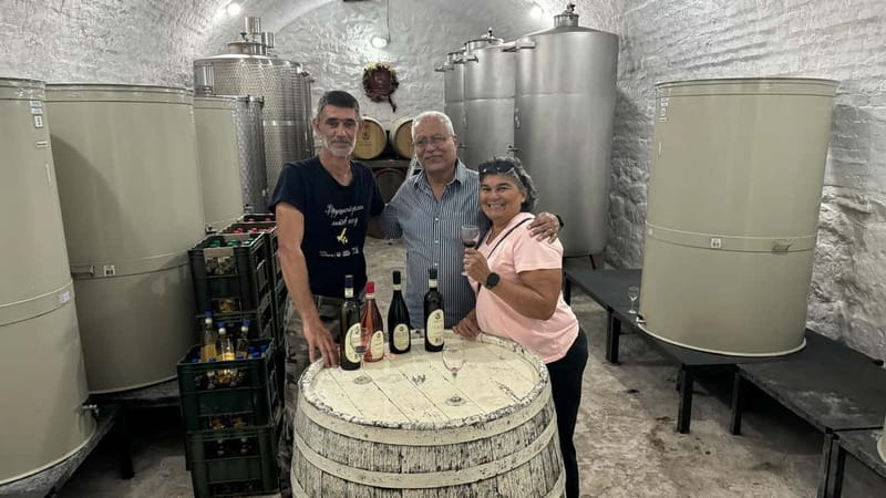 Private Day Tour Discovering Gems of Novi Sad in Luxury - The road to Fruška Gora National Park