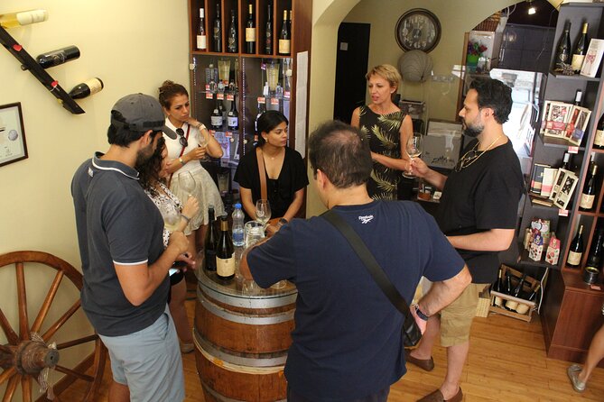 Private Day Tour to Fruska Gora Monasteries, Sremski Karlovci and Novi Sad - A family cellar in Stari Ledinci