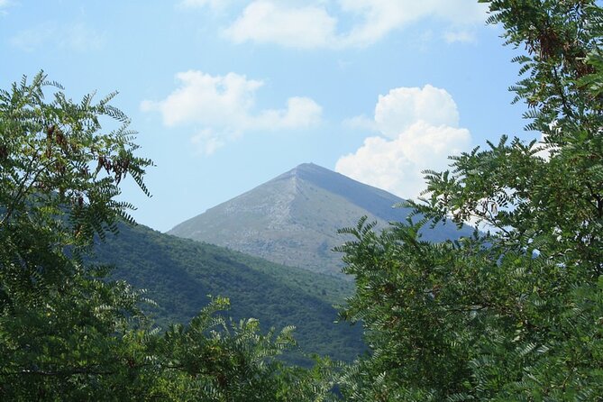 Private Day Tour to UNESCO site Felix Romuliana - Who will enjoy this private Roman day trip?