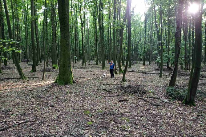 Private Truffle‑Hunting Tour from Belgrade – Lunch with Wine - Key points at a glance