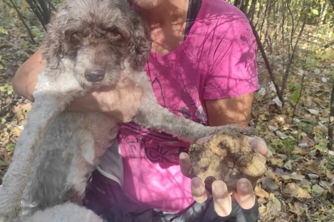 Private Truffle‑Hunting Tour from Belgrade – Lunch with Wine - Leaving Belgrade for the Sopot forests