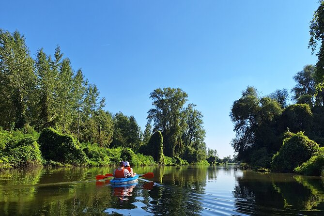 Self-guided kayak tour in Belgrade - The Sava and Danube confluence