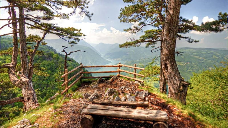 Serbia: Drina River House & Tara National Park Full Day Tour - Key points to know before booking