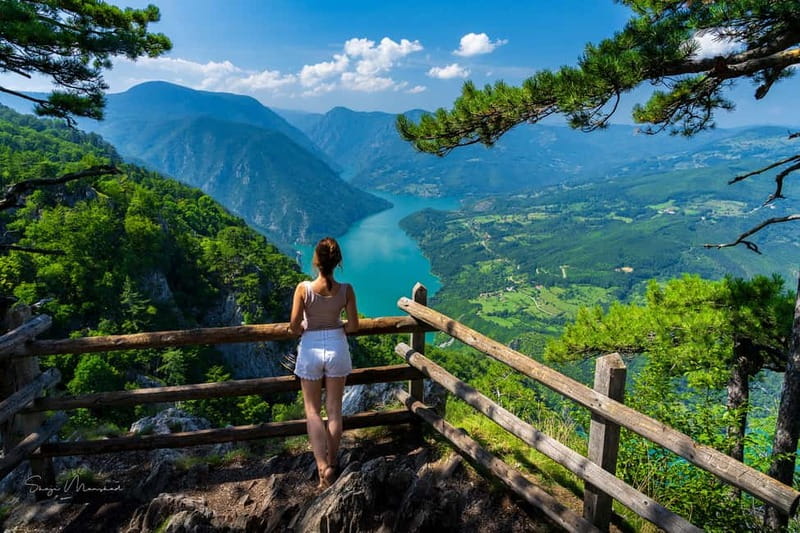 Serbia: Drina River House & Tara National Park Full Day Tour - Why the Drina River House is worth the long ride