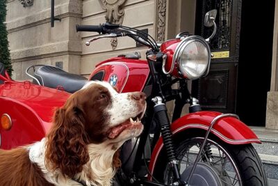 Sidecar Tours Belgrade