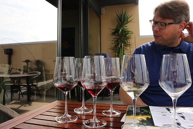 Small Group Wine Tour in Sumadija Wine Region - Lunch in Topola, with the menu left to you