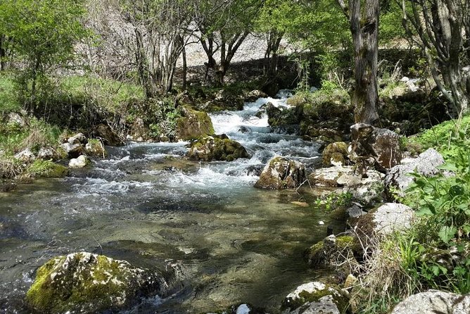 Treasures of Eastern Serbia private tour - Who will enjoy this eastern Serbia route