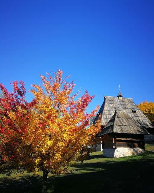 Zlatibor tour - Gold gondola, Stopic cave, Sirogojno & falls - Sirogojno and the wooden villages of Serbia